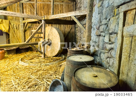 Equipment in the shed 19033465
