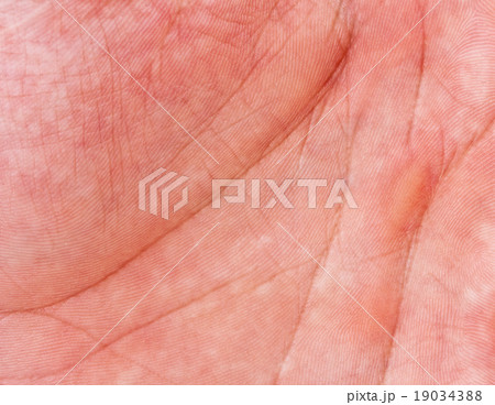 Human hand 19034388