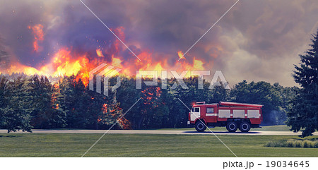 Fire in the forest 19034645