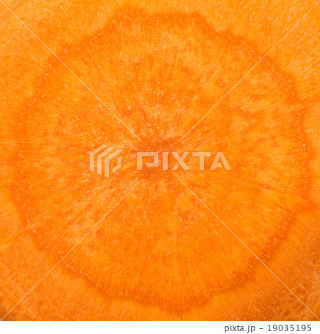 Carrot cut Carrot cut 19035195