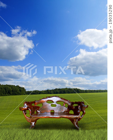 Wooden throne in meadow 19035290