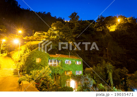 Tropical street in the evening Tropical street in the evening 19035471