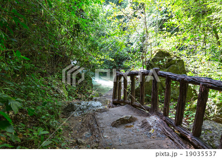 Old bridge tropical 19035537