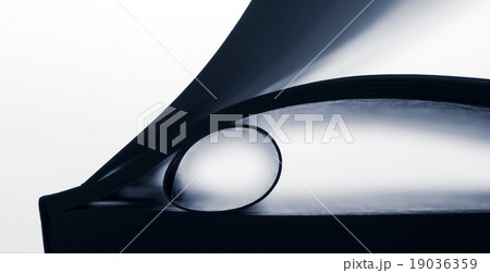 Abstract paper 19036359