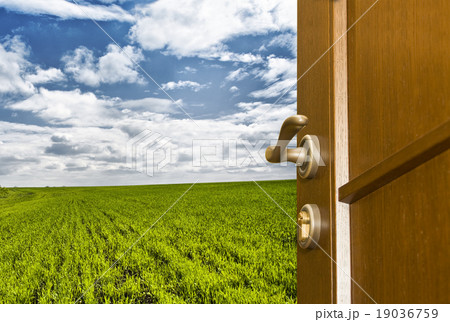 Freedom Freedom 19036759