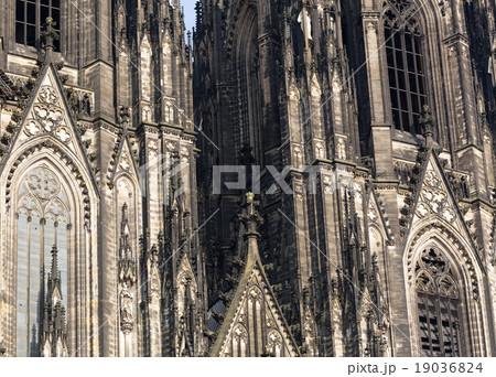 The cathedral of Cologne 19036824