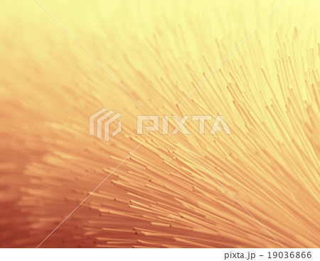The brush for bottles The brush for bottles 19036866