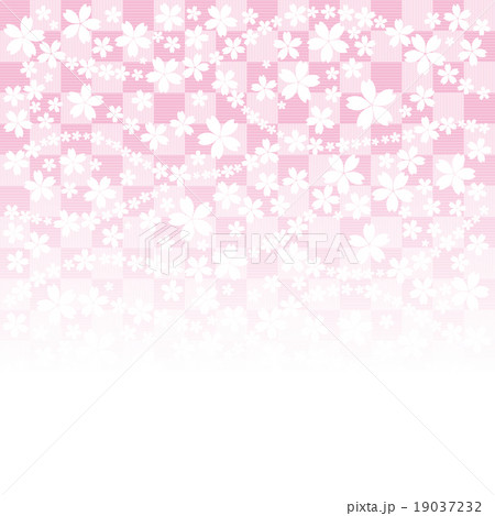 桜 和風背景 格子 イラストのイラスト素材