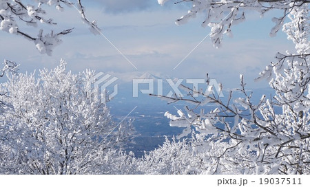 雪景色　八甲田山 19037511