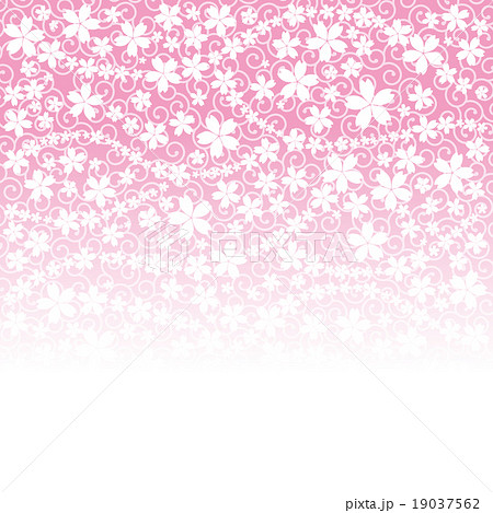 桜 和風背景 唐草 イラストのイラスト素材
