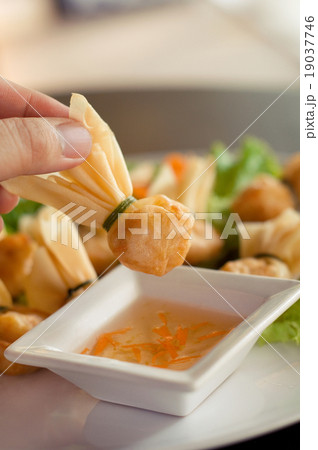 fried dumplings fried dumplings 19037746