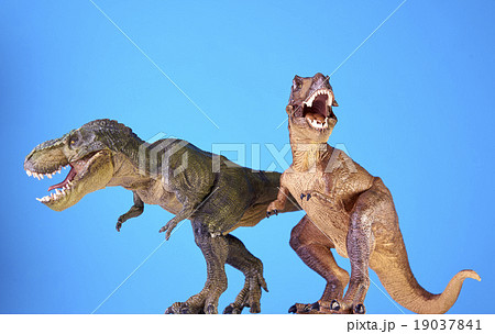 Dinosaur in blue background 19037841