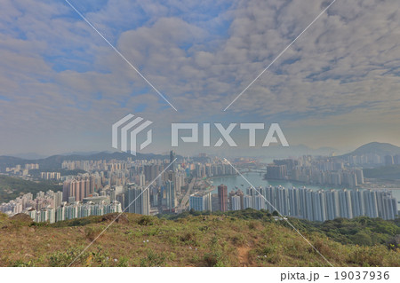 Downtown Kowloon Hongkong from Tsuen Wan 19037936