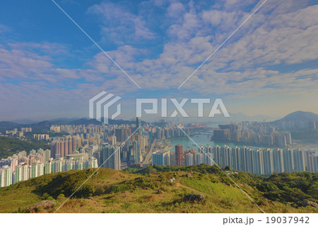 Downtown Kowloon Hongkong from Tsuen Wan Downtown Kowloon Hongkong from Tsuen Wan 19037942