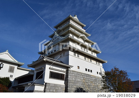 豊田城 常総市地域交流センター 19038029