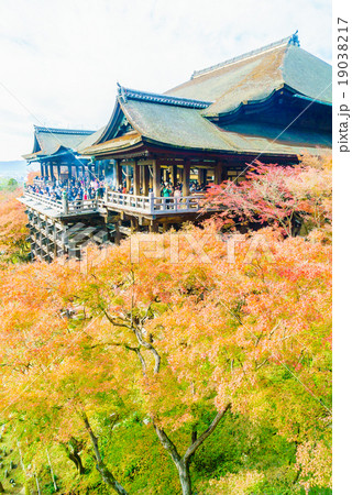 Kiyomizu dera temple in Kyoto at Japan Kiyomizu dera temple in Kyoto at Japan 19038217