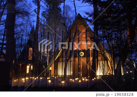 森の中の軽井沢クリスマスイルミネーション 森の中の軽井沢クリスマスイルミネーション 19038328