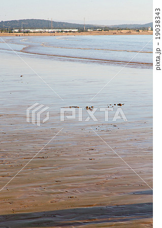 abstract in morocco  sea africa ocean wave 19038343