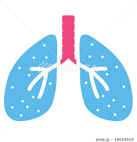 Lungs Icon Lungs Icon 19038919