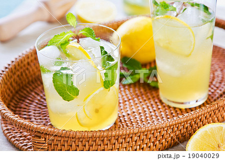 Lemonade Lemonade 19040029