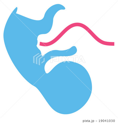 Ape Embryo Icon 19041030