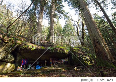 岩円地蔵の大杉　山形県 19041824