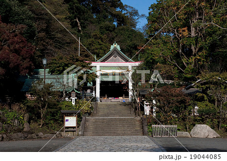 鎌倉宮 七五三 19044085