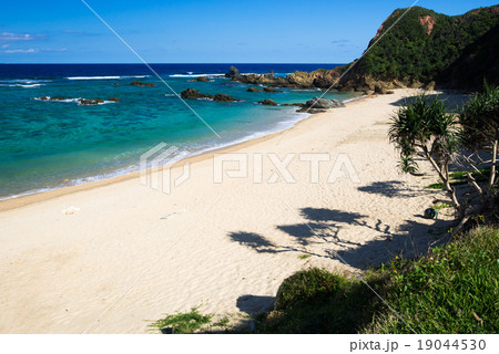 沖縄のビーチ・アダンビーチ 沖縄のビーチ・アダンビーチ 19044530