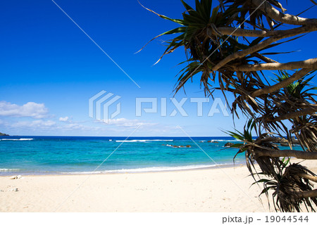 沖縄のビーチ・アダンビーチ 沖縄のビーチ・アダンビーチ 19044544