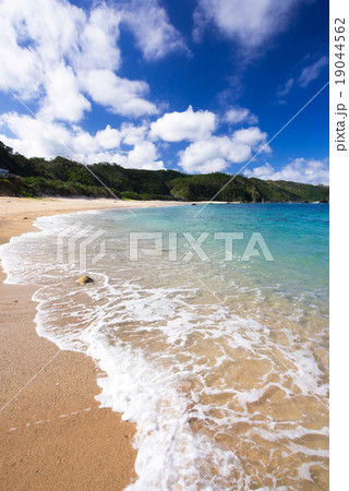 沖縄のビーチ・アダンビーチ 19044562