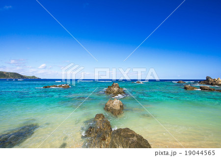 沖縄のビーチ・アダンビーチ 沖縄のビーチ・アダンビーチ 19044565