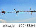 Barbed wire on sky 19045394
