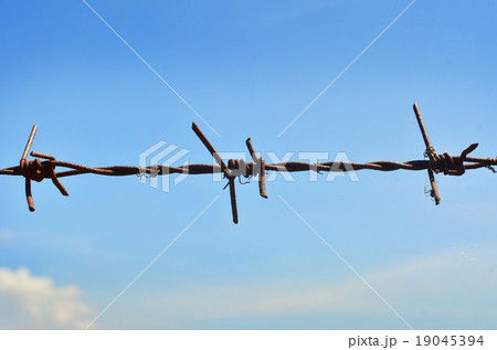 Barbed wire on sky Barbed wire on sky 19045394