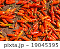 red hot chili pepper 19045395