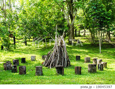 Wooden camp fire Wooden camp fire 19045397