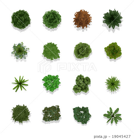 Trees top view for landscape vector 19045427
