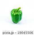 green sweet peppers isolated on white background 19045506