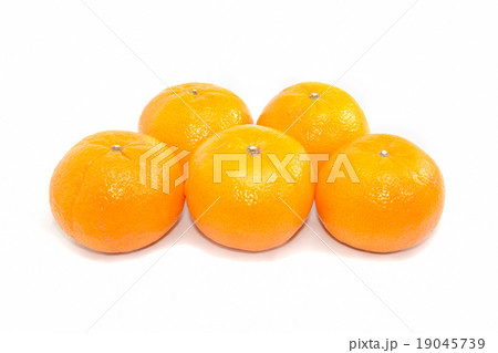 group five Oranges on White Background 19045739