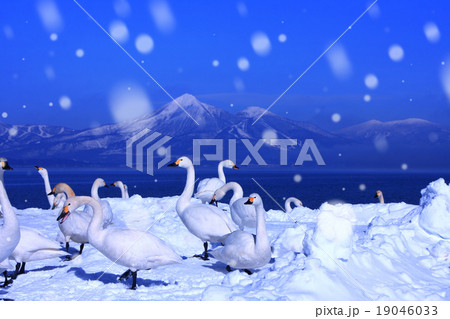 冬の猪苗代湖と磐梯山 19046033