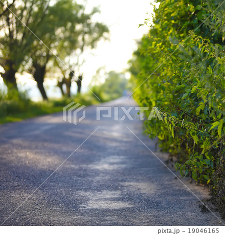 road into the distance 19046165