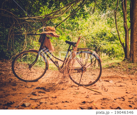 Vintage bicycle standing in the tropical forest 19046346