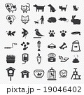 Pet icons set. illustration eps10 19046402