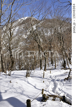 大丸の森より塔ノ岳への道 大丸の森より塔ノ岳への道 19046964