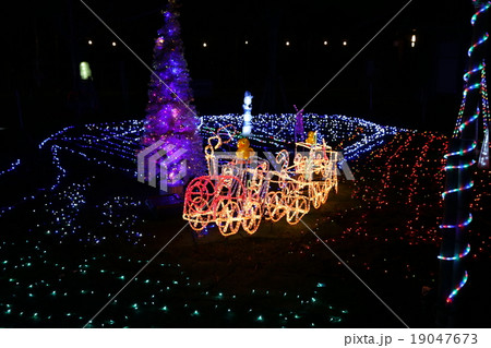 あけぼの山農業公園のイルミネーション あけぼの山農業公園のイルミネーション 19047673
