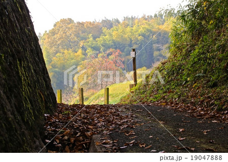 香久山の道 19047888