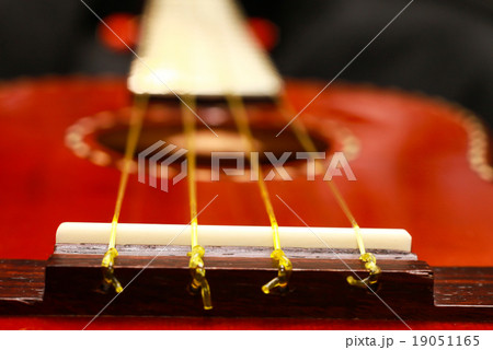 Ukulele Gold Line, closeup 19051165