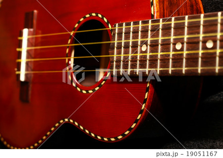 Ukulele Gold Line, closeup Ukulele Gold Line, closeup 19051167