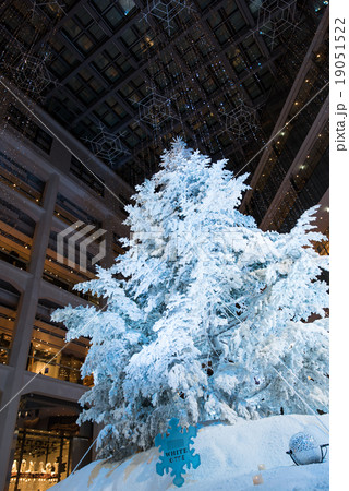 WHITE KITTE　クリスマスツリー 19051522