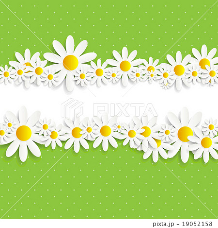 Flora Daisyl Design Vector Illustartion Flora Daisyl Design Vector Illustartion 19052158
