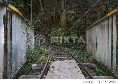 芦生の森のトロッコ軌道 芦生の森のトロッコ軌道 19053045